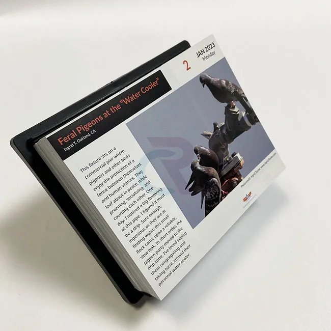 Cum pot fi încorporate modelele personalizate în calendarele de tip Tear-off Page-a-day?